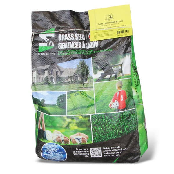 Overseeding Grass Seed Mixture